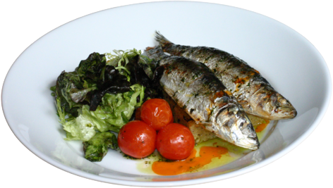 Sardinha